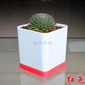 colorful flower pot 4