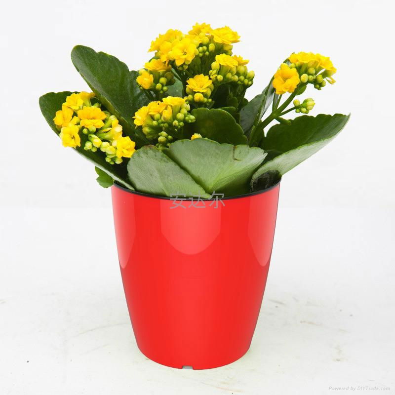 plastic water pot 5