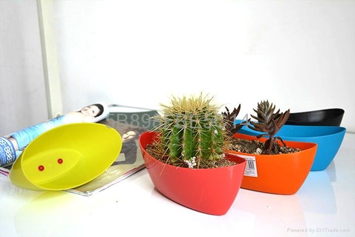 cheap plastic flower pot,five different color for you to choose 3