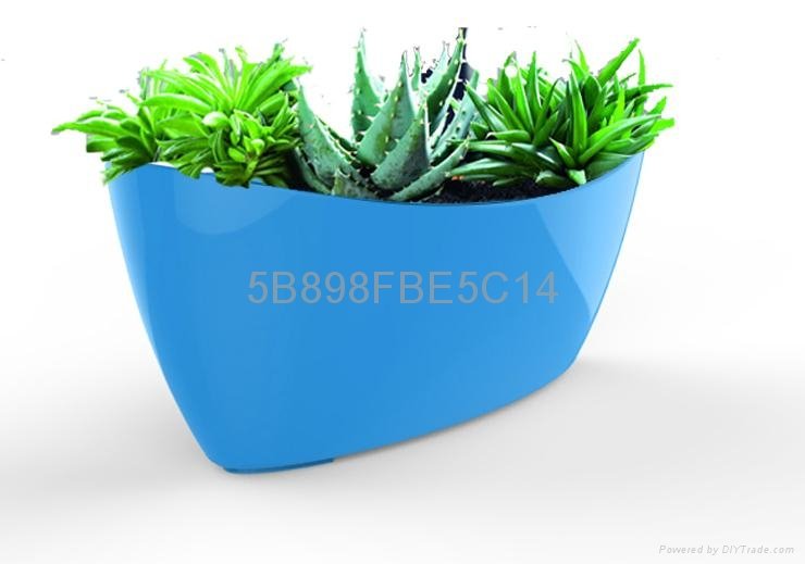 cheap plastic flower pot,five different color for you to choose 4