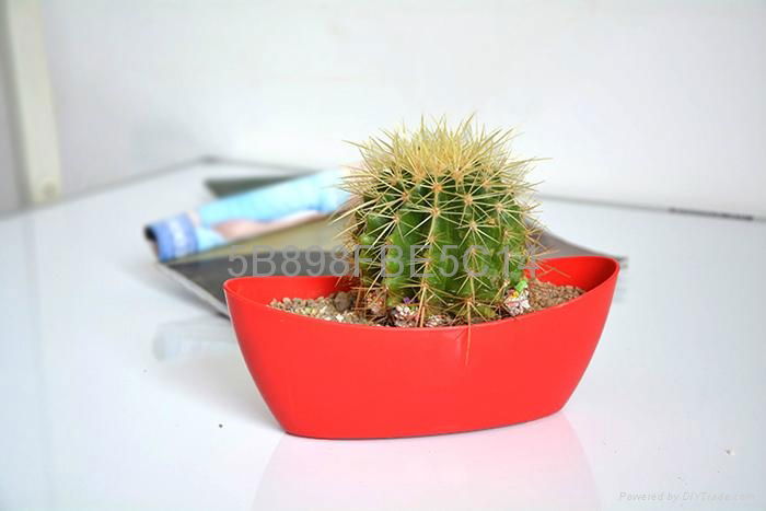 cheap plastic flower pot,five different color for you to choose 5