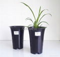 factory price PP plastic orchid flower pot 1