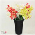 factory price PP plastic orchid flower pot 4