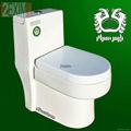 Pars Ceram Toilet Set 5