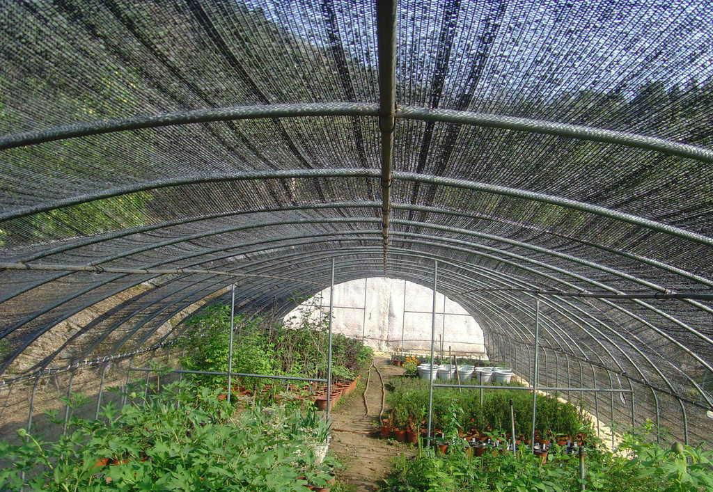 agricultural sunshade net  3