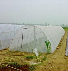 new hdpe insect net 