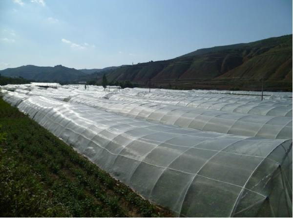 geenhouse anti insect netting  2