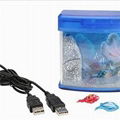 Toy Fish Tank?RX-Q6)