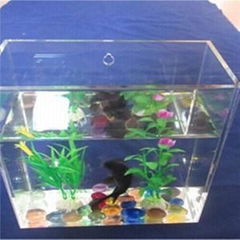 Acrylic Square Tank?CMAT04)