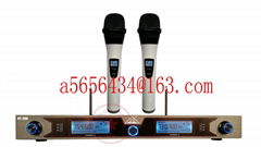  Professional Dual Channels Wireless Microphone