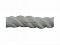 3 Strand Rope 3