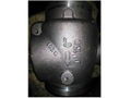 Ball material check valve body 1