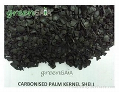 Palm Kernel Shell (PKS)