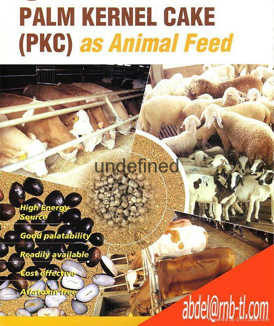  Palm Kernel Cake/Palm Oil Sludge 2