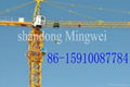 Construction machine——Tower Crane QTZ50 TC4810-max.load:4Tons 1