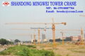 10tons Qtz125 (TC6118) Tower Crane Accord with The European Standard 1