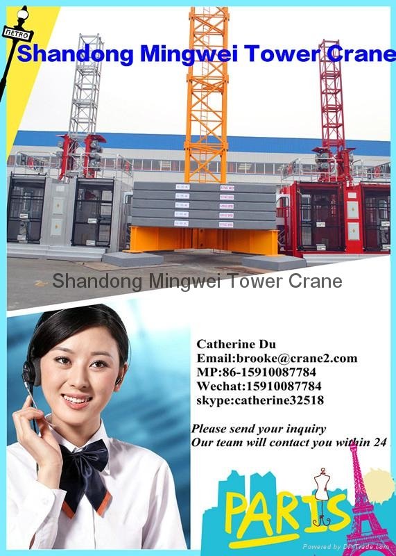 New Building Tower Cranes in Saudi Arabia Qtz50 Tc4810-Max. Load: 4t 2