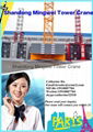 China Mingwei Construction Tower Crane Qtz63 (TC5013) with Max Load 6 Tons/Jib L 3