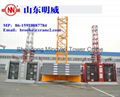 Qtz100 (TC6010) -Max. Load 8t Construction Self-Erecting Tower Crane with Ce and 1