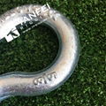 G209 US Type Bow Shackle 4