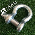 G209 US Type Bow Shackle 5