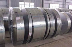 Galvanized Steel Coil