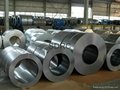 Cold Rolled Steel Coil 5