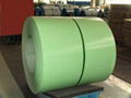 PPGI Steel Coil/Sheet/Plate