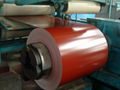 PPGI Steel Coil/Sheet/Plate 4