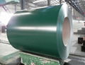 PPGI Steel Coil/Sheet/Plate 5