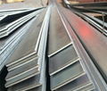 Hot-DIP Galvanized Steel Flat/Flat Bar 3