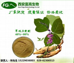 Pueraria Extract