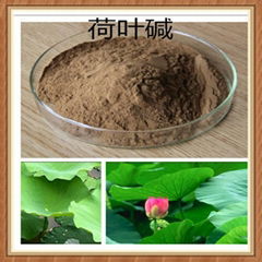 Lotus Leaf Extract