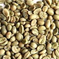 Arabica Beans 1