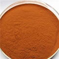 Organic Black Tea Powder