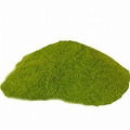 Sweet Neem Leaves Powder 1