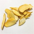 Freeze Dried Mango 1