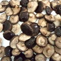 Canned Shiitake Mushroom 1