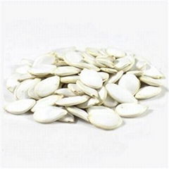 Snow White Pumpkin Seed