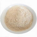 Cauliflower Powder