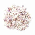 Freeze Dried Onion 1