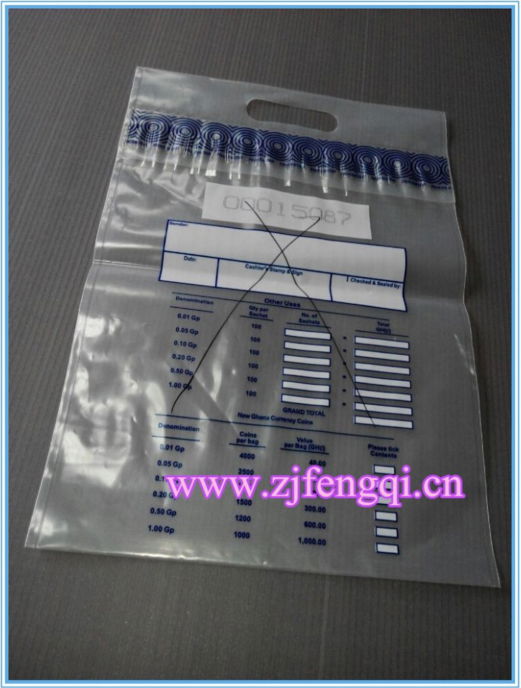 Clear Plastic Security Bank Bags 2
