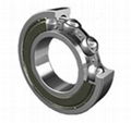 Deep groove ball bearing 1