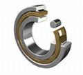 Cylindrical roller bearing