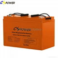 12V100Ah VRLA deep cycle solar battery 2