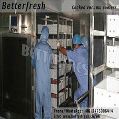 Dongguan Betterfresh rapid cooling cooked pre coolers vacuum cooling machine 