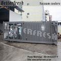 Betterfresh effective Precoolers for