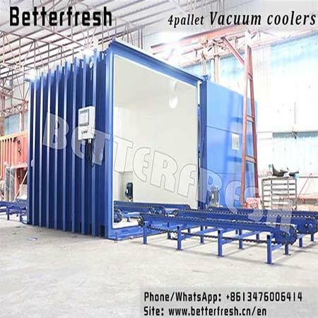 Betterfresh pallets Vacuum Cooler Vegetable Cooler Cooled Vacuum Cooling System 2