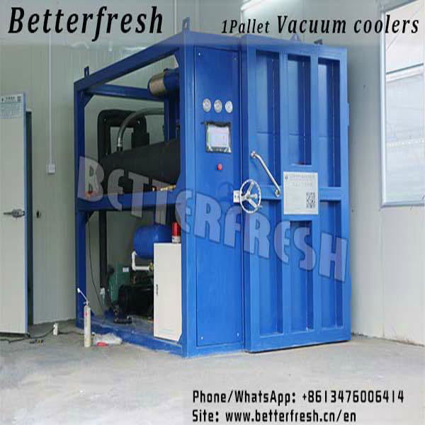 Betterfresh pallets Vacuum Cooler Vegetable Cooler Cooled Vacuum Cooling System 3