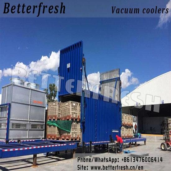 Betterfresh Agricuture Refrigeration Pallets Vegetable Vacuum Cooling Machine 2
